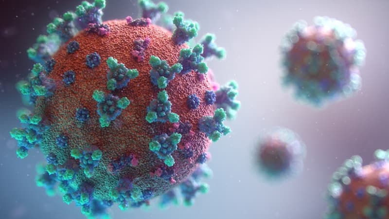 CDC WONDER Database: What It Contains and How to Use It