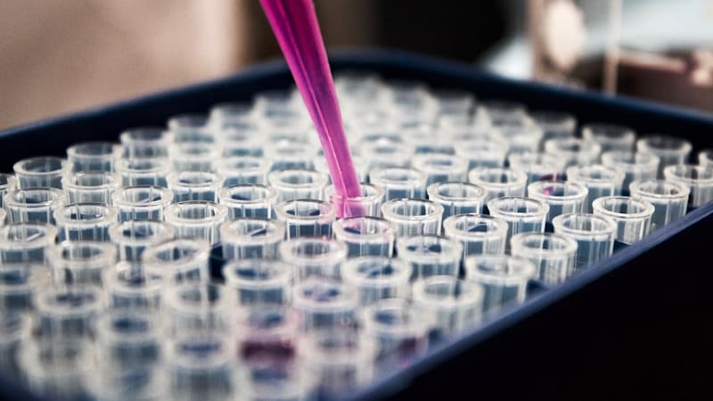 FDA Drug Approval Process: Timeline, Phases, and Data